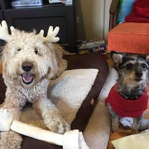 Meet your Posher, Barb